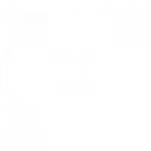 icon-proposta icon proposta