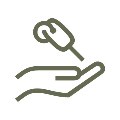 Dacia de substituição