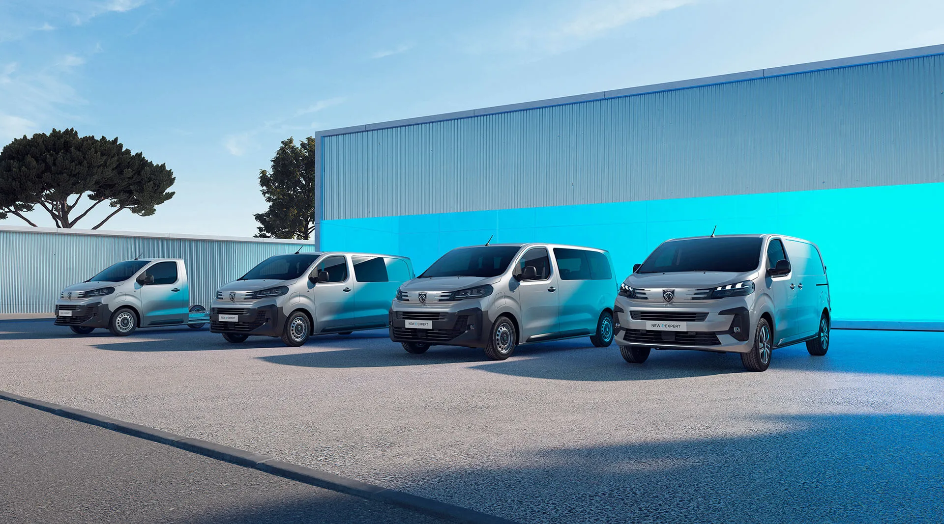 Peugeot Expert diferentes carroçarias