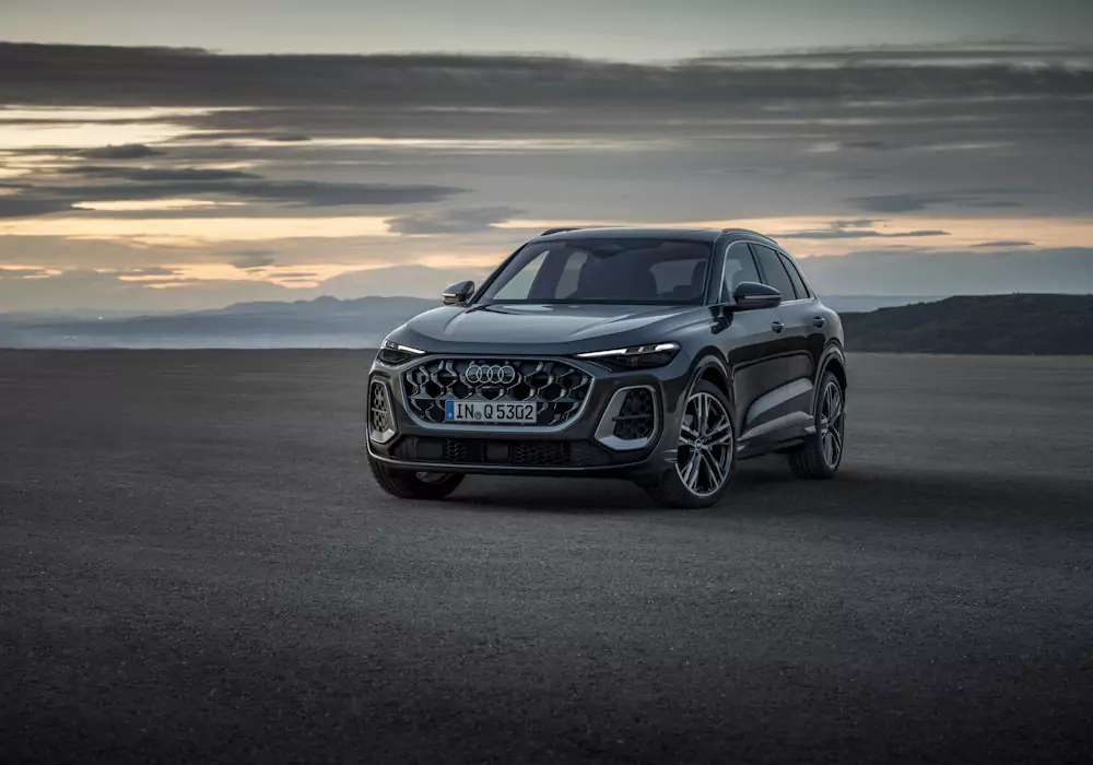 novo_q5_design novo Q5 design