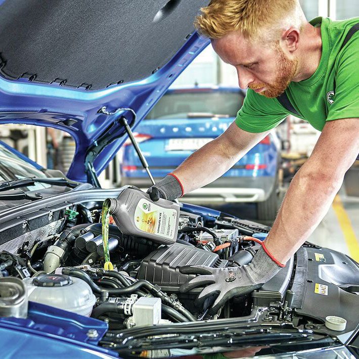 skoda-basic-media-662fd8f80fd64