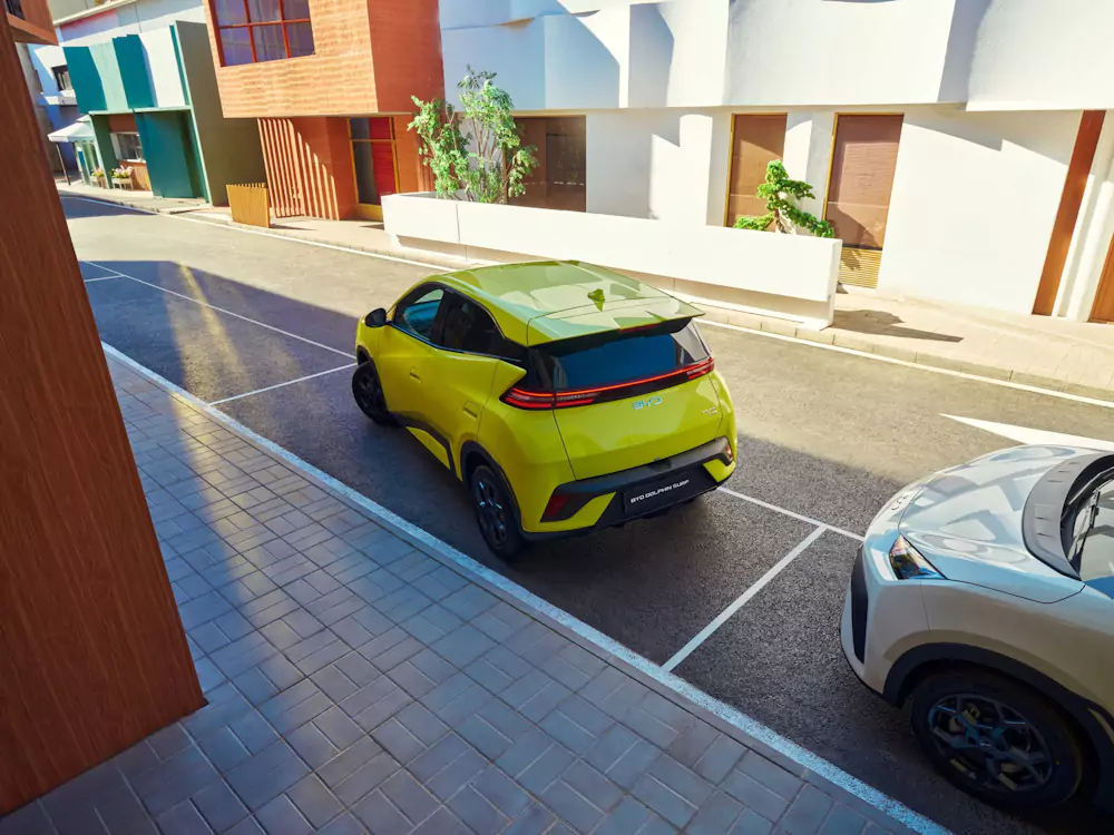 dolphin-surf-estacionar