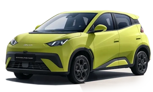 novo-dolphin-surf-2025